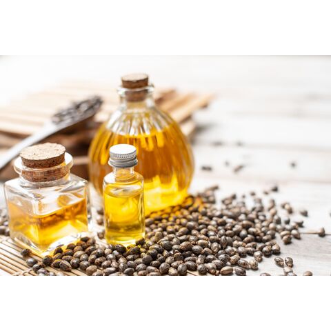 بذور الخروع وزيت الخروع. بيع بالجملة والكميات الكبيرة. بذور الخروع البنية المجففة. رخيصة جدا وشحن مجاني.