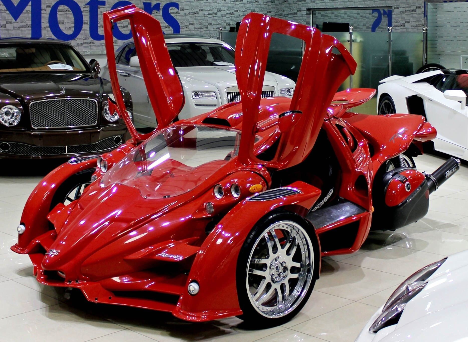 T Rex Aero 3s Price