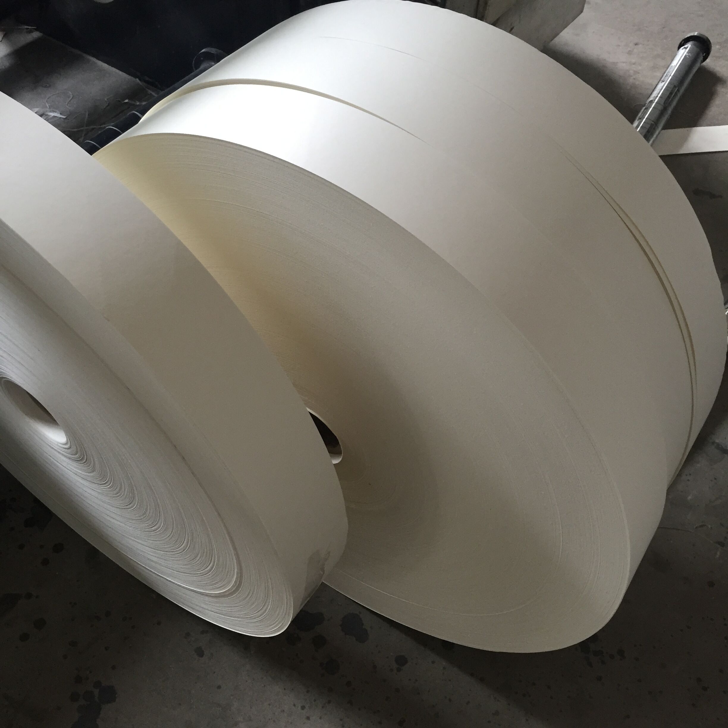 From China Paper Cup Pe Coated Paper Bottom Roll For Paper Single ...