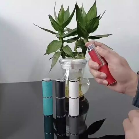 Hochwertiger, tragbarer, drehbarer Kosmetik-Parfüm-Zerstäuber aus Leder für Parfüm-Atemerfrischer-Sprühflasche