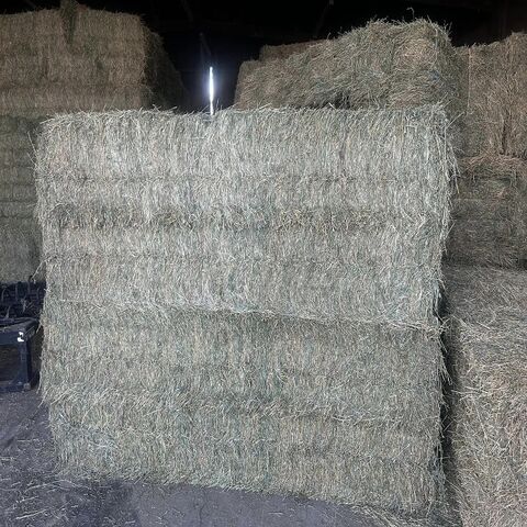 Heno de Alfalfa de Calidad Premium para Alimentación Animal En Stock al Mejor Precio para Ganadería y Agricultura Compre Ahora para Entrega Rápida y Bajo Costo
