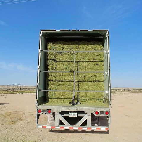 Heno de Alfalfa de Calidad Premium para Alimentación Animal En Stock al Mejor Precio para Ganadería y Agricultura Compre Ahora para Entrega Rápida y Bajo Costo
