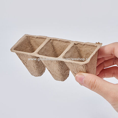 Ensemble Pot et Plateau de Pépinière en Pulpe de Papier Dégradable Jetable à 16 Cellules pour Bonsaï