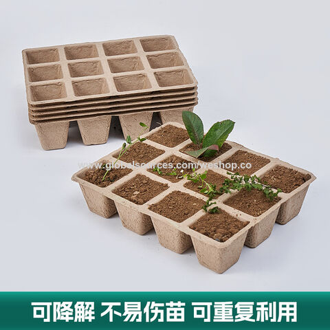 Ensemble Pot et Plateau de Pépinière en Pulpe de Papier Dégradable Jetable à 16 Cellules pour Bonsaï