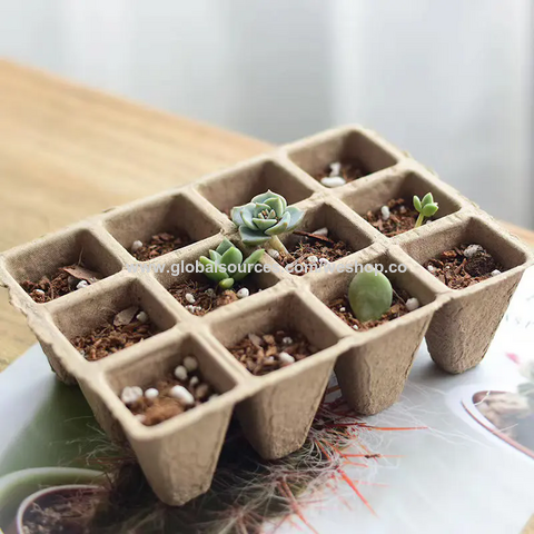 Ensemble Pot et Plateau de Pépinière en Pulpe de Papier Dégradable Jetable à 16 Cellules pour Bonsaï