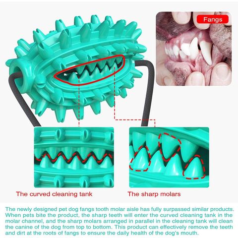 Brinquedo popular para animais de estimação para dentição, dispositivo de alimentação com vazamento, bola resistente a mastigação, brinquedo para cães com ventosa