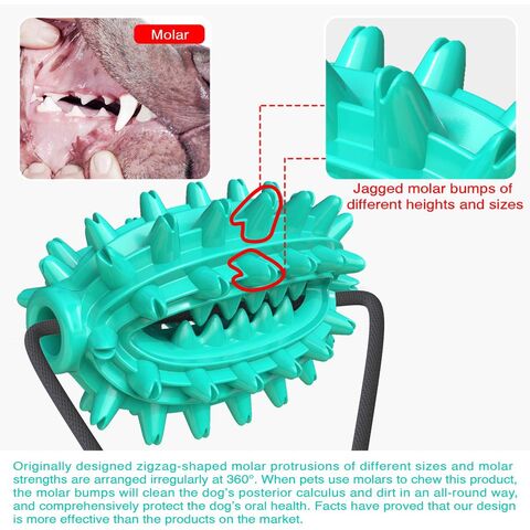 Brinquedo popular para animais de estimação para dentição, dispositivo de alimentação com vazamento, bola resistente a mastigação, brinquedo para cães com ventosa