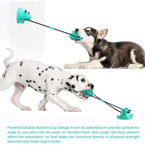 Brinquedo popular para animais de estimação para dentição, dispositivo de alimentação com vazamento, bola resistente a mastigação, brinquedo para cães com ventosa