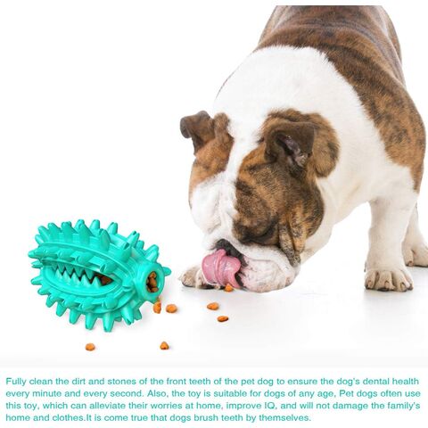 Brinquedo popular para animais de estimação para dentição, dispositivo de alimentação com vazamento, bola resistente a mastigação, brinquedo para cães com ventosa