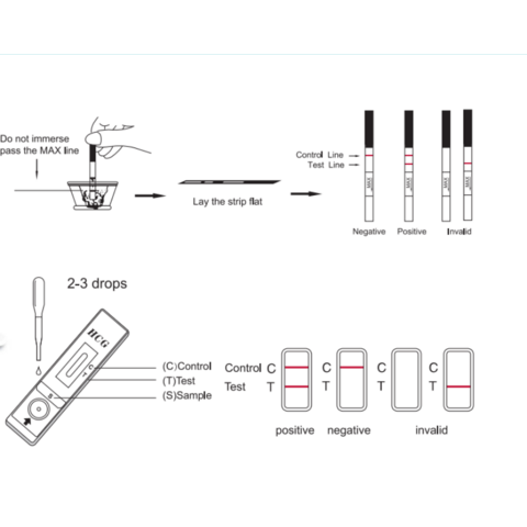 Prueba de Diagnóstico Rápida, Segura y Eficaz para la Concentración de Esperma (Método Colorimétrico)