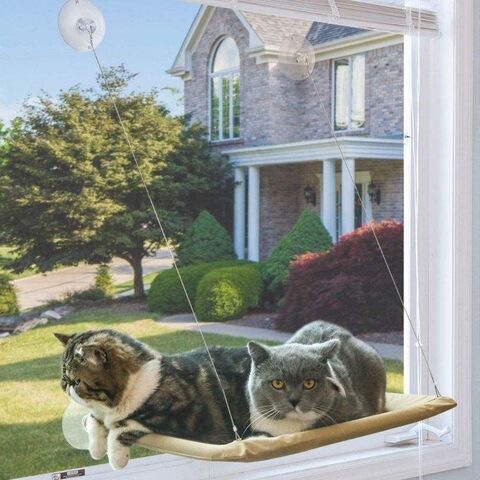 Katzen-Fensterliege mit Sitzstange, Verkauf, beste Sicherheit