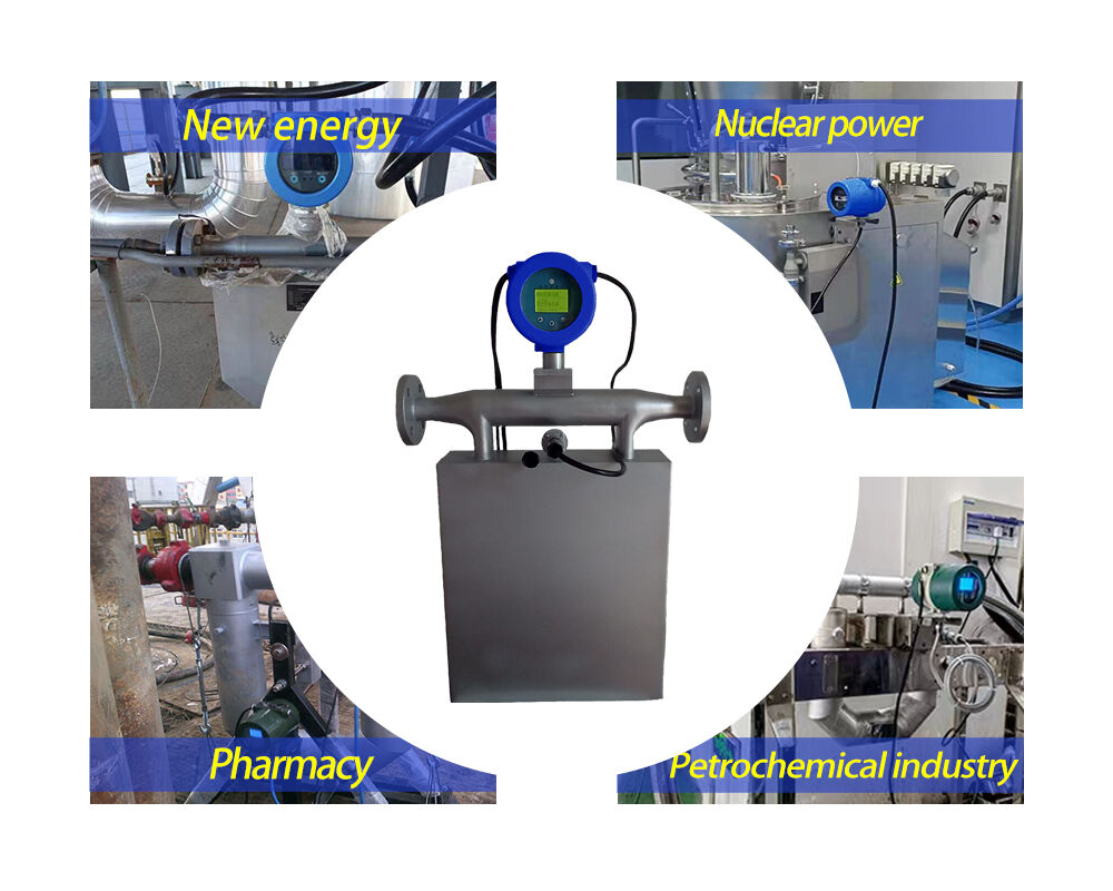 Hydrogen Lpg Explosion Proof Slurry Liquide Coriolis Mass Flow Meter ...