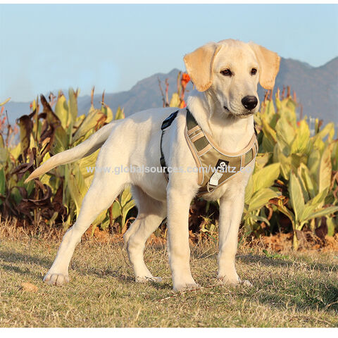 Arnés Nuevo para Mascotas a Prueba de Explosiones para Perros Grandes, Arnés Reflectante al por Mayor