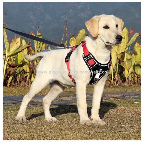Arnés Nuevo para Mascotas a Prueba de Explosiones para Perros Grandes, Arnés Reflectante al por Mayor