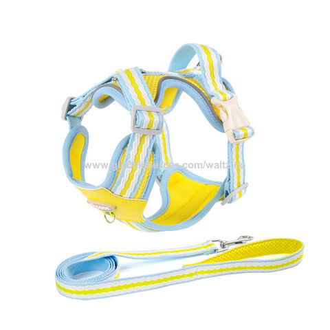Arnés para Perros Pequeños y Medianos, Edición Clásica, Colorido, de Cuero y Nylon, Estilo OEM ODM