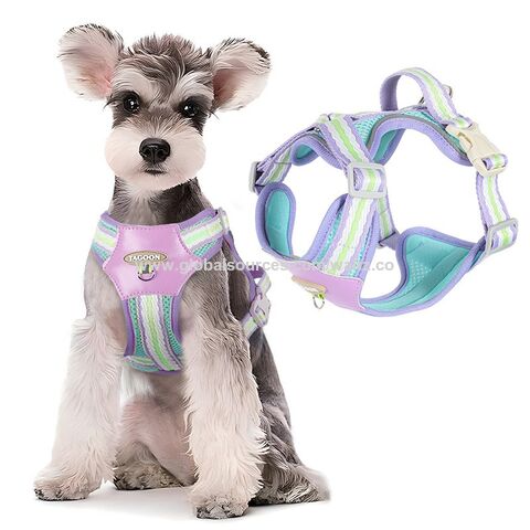 Arnés para Perros Pequeños y Medianos, Edición Clásica, Colorido, de Cuero y Nylon, Estilo OEM ODM