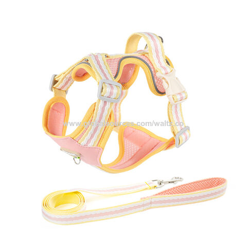 Arnés para Perros Pequeños y Medianos, Edición Clásica, Colorido, de Cuero y Nylon, Estilo OEM ODM