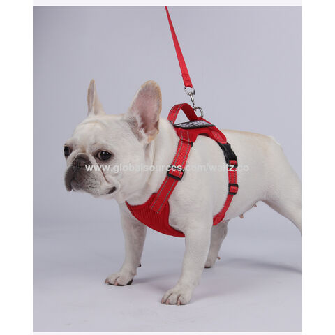 Fabricantes Mayoristas de Fábrica de Lujo Personalizado Sin Tirón Juego de Collar, Correa y Arnés para Perros con Logo
