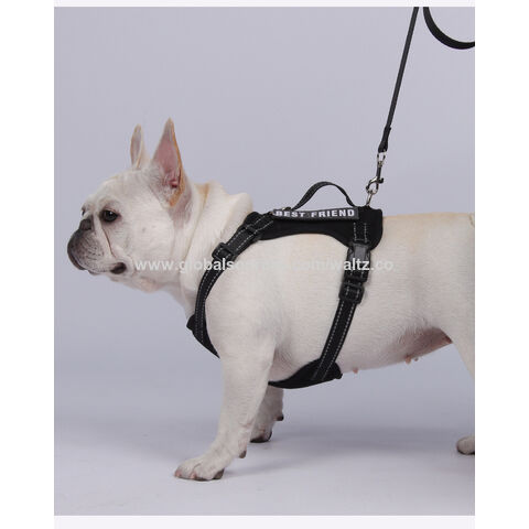 Fabricantes Mayoristas de Fábrica de Lujo Personalizado Sin Tirón Juego de Collar, Correa y Arnés para Perros con Logo