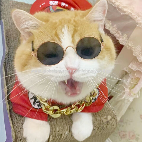 Fabricantes de gafas para mascotas: gafas de sol divertidas y modernas para perros y gatos, accesorio de moda para mascotas