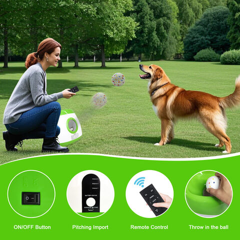 Lanzador automático actualizado al por mayor de la bola del perro grande-verde lima