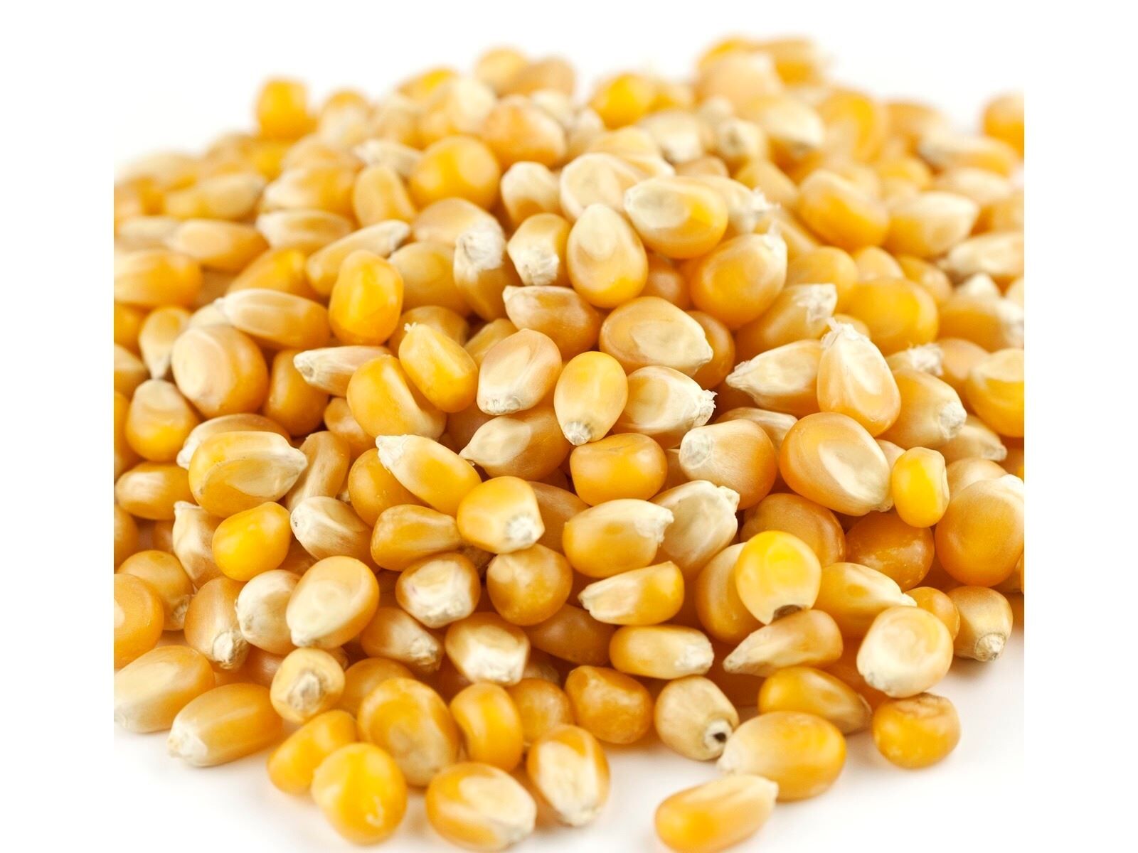 Yellow Seed Popcorn Maize Non-gmo Best Popcorn Kernels Popping Corn Raw ...