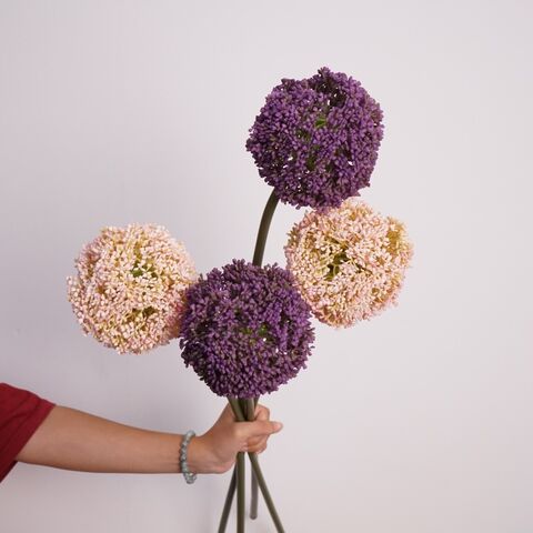 Hojas de Eucalipto Artificiales, Naturales y Secas, Vegetación Artificial, Decoración para el Hogar, Suministro al por Mayor