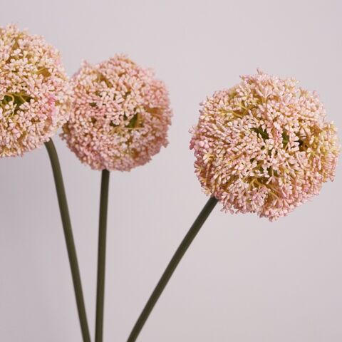 Hojas de Eucalipto Artificiales, Naturales y Secas, Vegetación Artificial, Decoración para el Hogar, Suministro al por Mayor