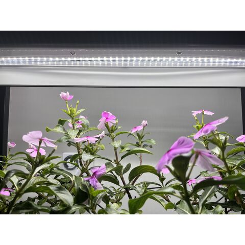 Sistema de Cultivo Inteligente Multifuncional para Jardín Interior y Exterior con Luz LED - Estantería para Cultivo de Plantas