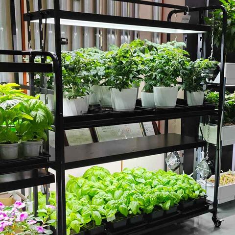 Sistema de Cultivo Inteligente Multifuncional para Jardín Interior y Exterior con Luz LED - Estantería para Cultivo de Plantas