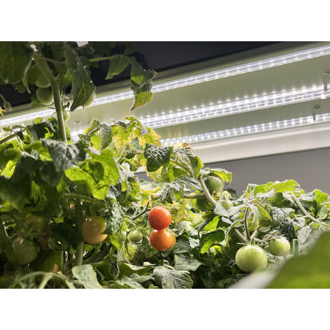 Sistema de Cultivo Inteligente Multifuncional para Jardín Interior y Exterior con Luz LED - Estantería para Cultivo de Plantas