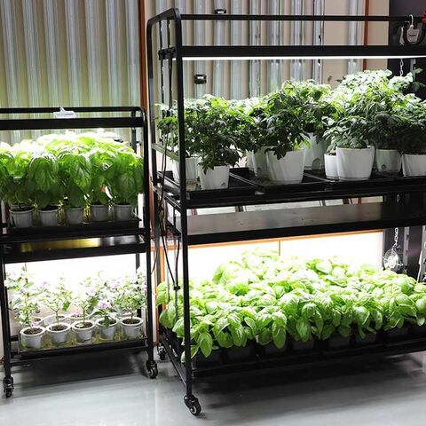 Sistema de Cultivo Inteligente Multifuncional para Jardín Interior y Exterior con Luz LED - Estantería para Cultivo de Plantas