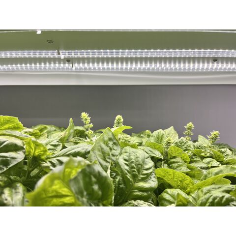 Sistema de Cultivo Inteligente Multifuncional para Jardín Interior y Exterior con Luz LED - Estantería para Cultivo de Plantas