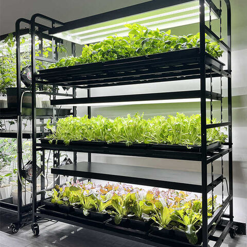 Sistema de Cultivo Inteligente Multifuncional para Jardín Interior y Exterior con Luz LED - Estantería para Cultivo de Plantas