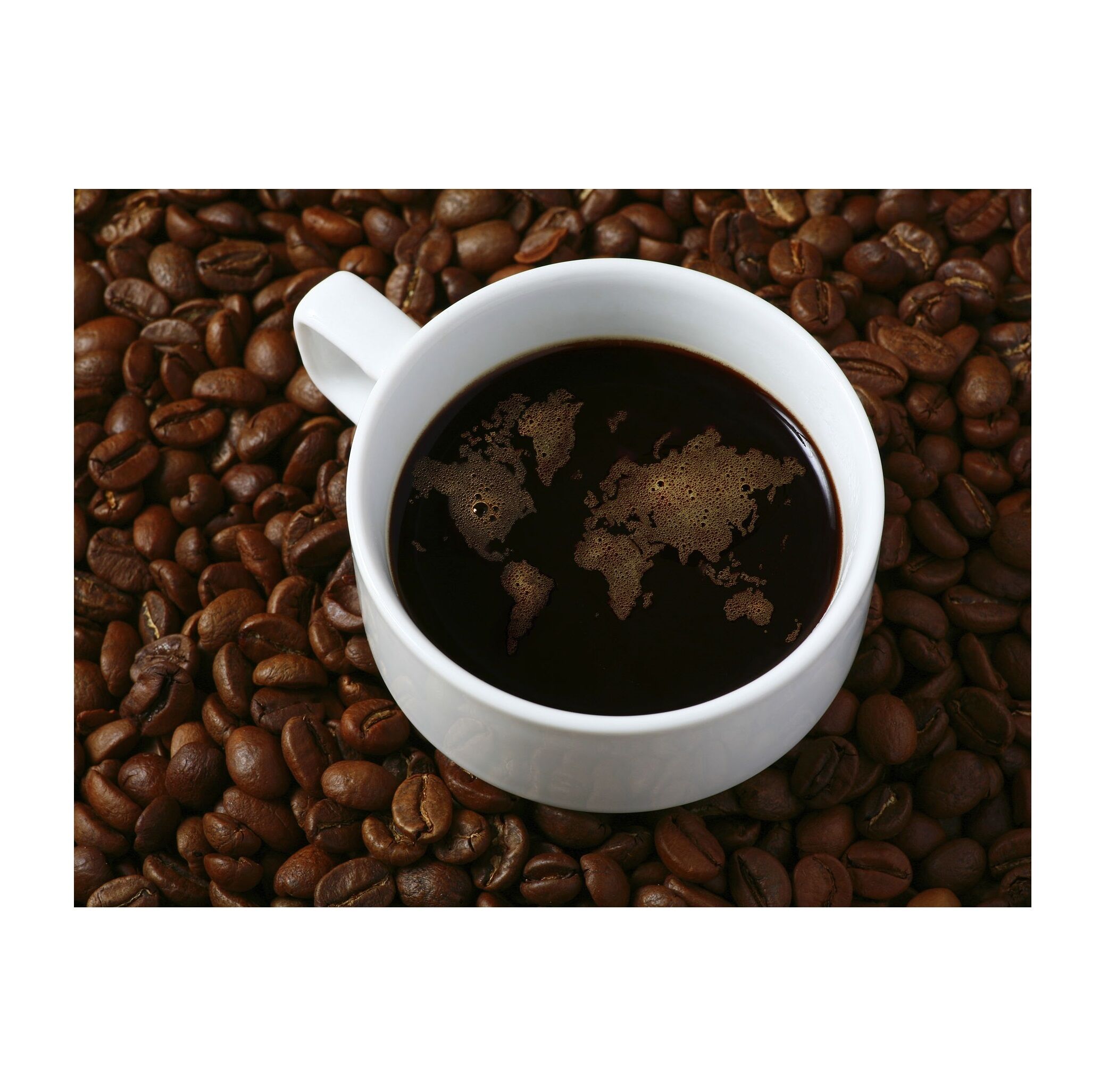 Curated visual reference: Curated Top Quality Arabica Coffee Gallery View