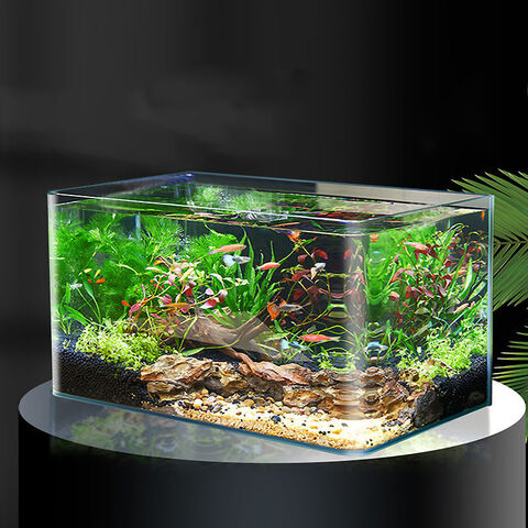 Aquarium, Wohnzimmer, Büro, Hotellobby, großes Schauaquarium