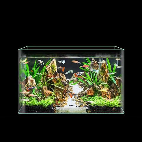Aquarium, Wohnzimmer, Büro, Hotellobby, großes Schauaquarium