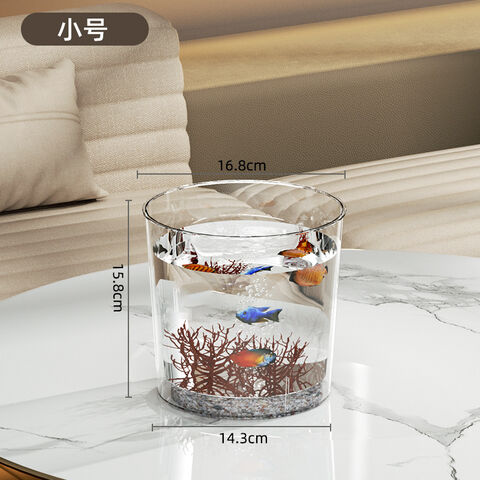 Hochtransparentes und langlebiges Aquarium, rundes Fischaquarium mit Imitatglas, kleine Wasserpflanzen und Schildkröten
