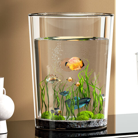 Hochtransparentes und langlebiges Aquarium, rundes Fischaquarium mit Imitatglas, kleine Wasserpflanzen und Schildkröten