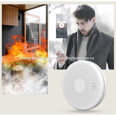 WLAN Rauchmelder/Alarme mit LED-Anzeige und Summer - Rauchwarnmeldesysteme für B2B
