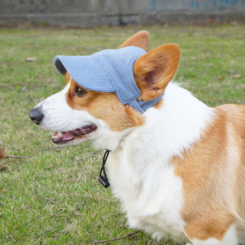 Gorra de Béisbol para Mascotas de Suministro de Fábrica, Gorro Deportivo de Verano para Exteriores, Gorra de Protección Solar con Orificios para las Orejas, Gorras de Pana Ajustables, Sombrero para el Sol con Diseño Lindo