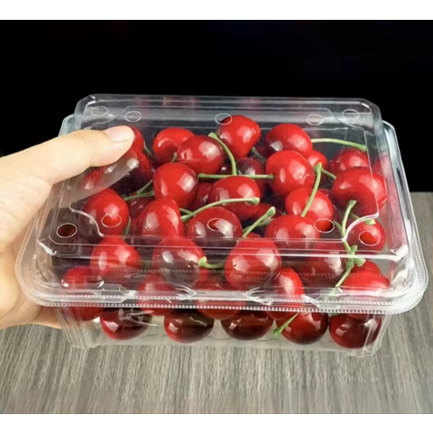 Caja de Embalaje de Plástico Transpirable para Frutas y Verduras con Tapa Plegable, Rectangular, Material PET