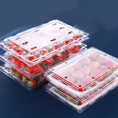 Einweg transparente Klappschalen-Blister-Erdbeer-Plastikboxen PET-Fruchtverpackungsbehälter