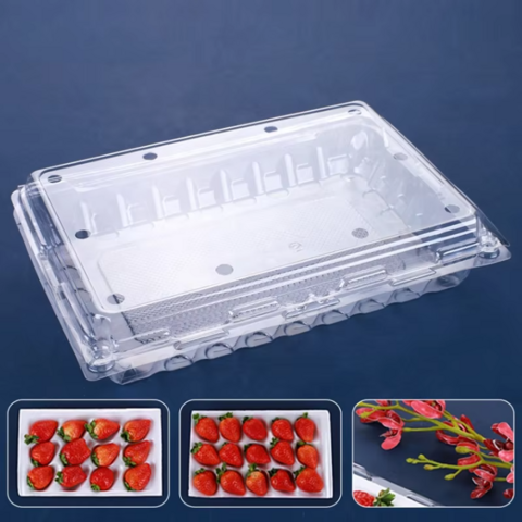 Einweg transparente Klappschalen-Blister-Erdbeer-Plastikboxen PET-Fruchtverpackungsbehälter