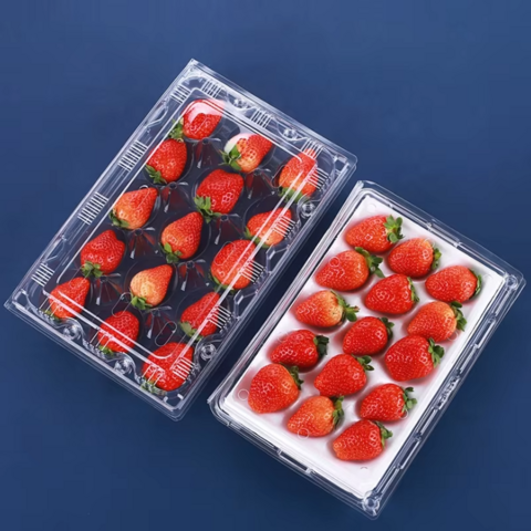 Einweg transparente Klappschalen-Blister-Erdbeer-Plastikboxen PET-Fruchtverpackungsbehälter