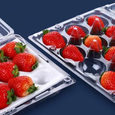 Einweg transparente Klappschalen-Blister-Erdbeer-Plastikboxen PET-Fruchtverpackungsbehälter