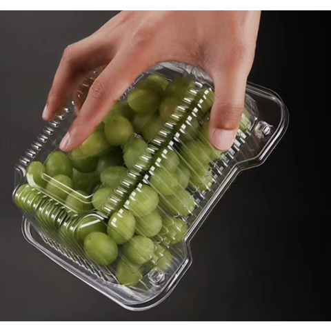 Caja de Embalaje de Plástico Transpirable para Frutas y Verduras con Tapa Plegable, Rectangular, Material PET