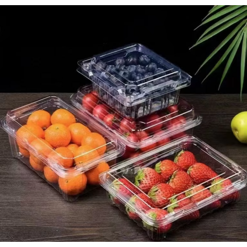 Caja de Embalaje de Plástico Transpirable para Frutas y Verduras con Tapa Plegable, Rectangular, Material PET