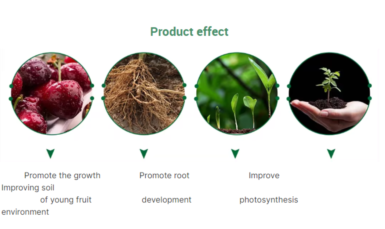 High Quality Potassium Chloride Fertilizer Is Water Soluble - China ...