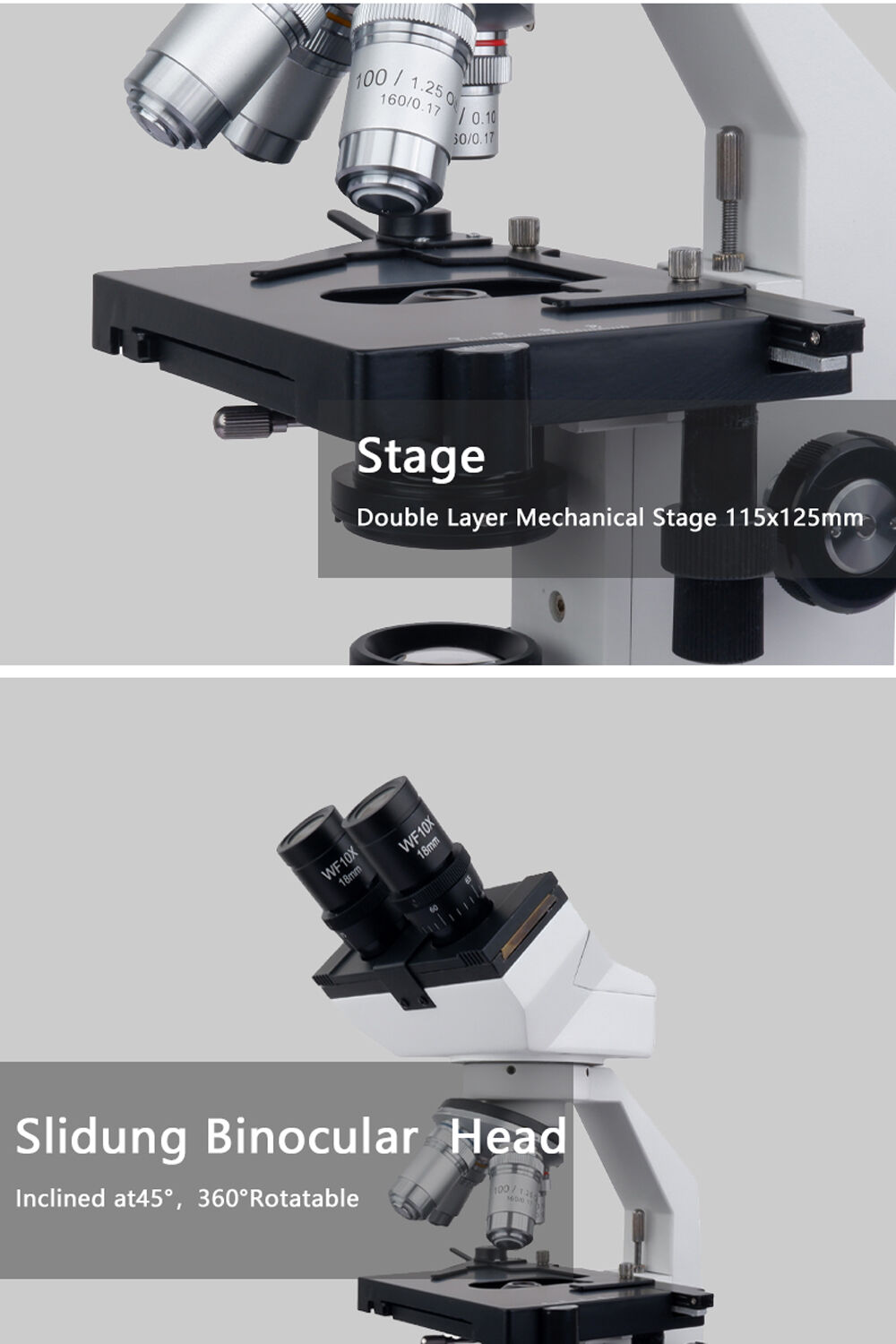 Hot Sell Microscope For Laboratory Binocular Viewing Head Lab Led ...